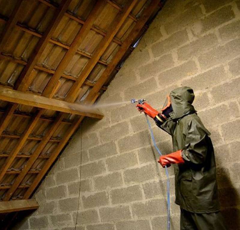 Rénovation de charpente - PROMICHELNETTOYAGE : En tant que toiturier, nous réalisons la rénovation de charpente en bois avant la pose de couverture. Traitement des bois, boiseries de charpente. Spécialistes des traitements du bois préventifs et curatifs des charpentes. intervention sur Braine-Le-Comte Nivelles, Namur.. en Belgique