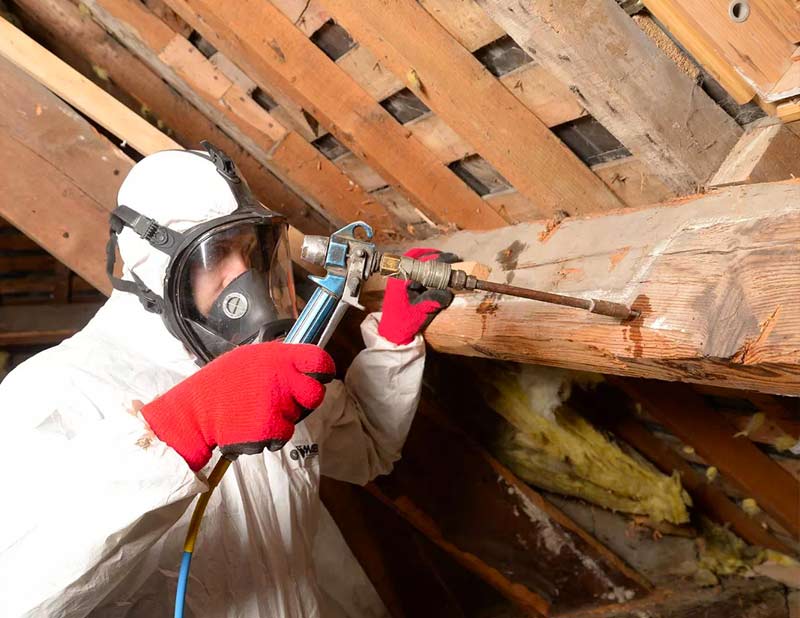 Rénovation de charpente - PROMICHELNETTOYAGE : En tant que toiturier, nous réalisons la rénovation de charpente en bois avant la pose de couverture. Traitement des bois, boiseries de charpente. Spécialistes des traitements du bois préventifs et curatifs des charpentes. intervention sur Braine-Le-Comte Nivelles, Namur.. en Belgique