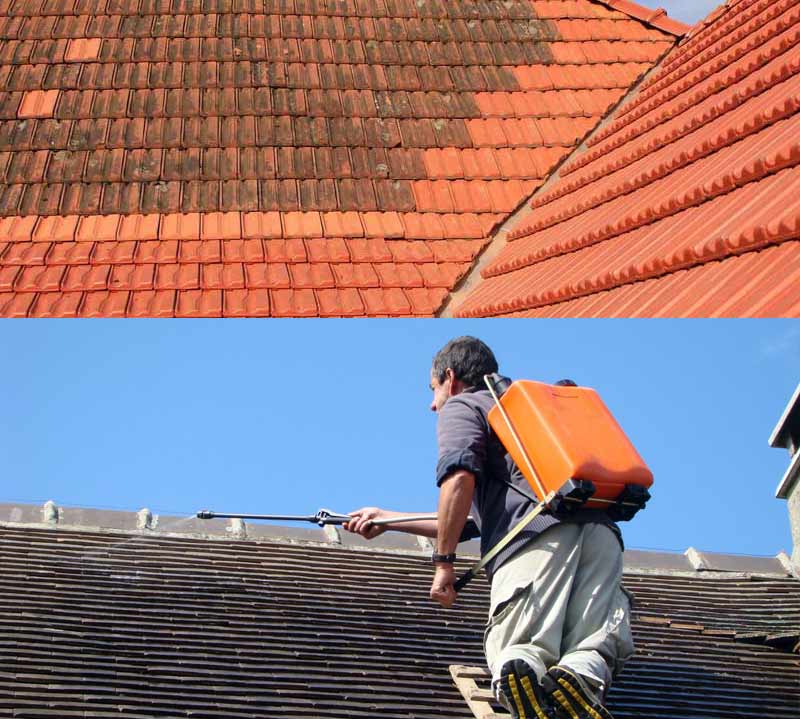 Nettoyage toiture - PROMICHELNETTOYAGE : couvreur, toiturier en Belgique : Nettoyage toiture, démoussage, traitement anti mousse par pulvérisation toiture, peinture hydrofuge toit sur Braine-Le-Comte Nivelles, Namur ... en Belgique